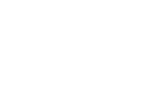 Amani Tours
