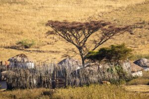 7 Tage Masai Mara, Nakuru und Samburu Safari