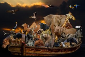 8 Tage Ruanda Safari